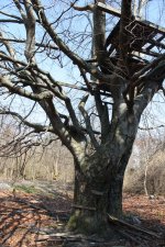 Am Leutewitzer Park in Dresden 2009
