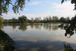 Ziegeleiteich Ziegeleiteich