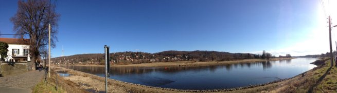 Winter-Linde am Laubegaster Ufer