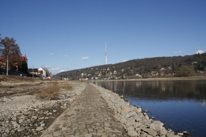 Winter-Linde am Laubegaster Ufer
