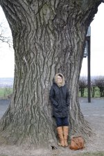 11.01.14 Babisnauer Pappel