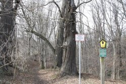 Die 5 Brüder in Oberwartha