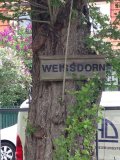 Weißdorn