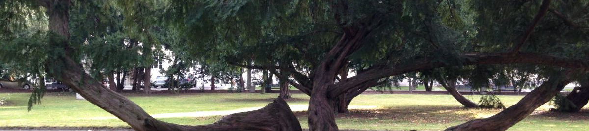 Eibe im KH Friedrichstadt Dresden Eibe im KH Friedrichstadt Dresden