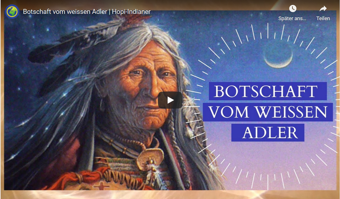 Weisser Adler der 𝗻𝗼𝗿𝗱𝗮𝗺𝗲𝗿𝗶𝗸𝗮𝗻𝗶𝘀𝗰𝗵𝗲n 𝗛𝗼𝗽𝗶-𝗜𝗻𝗱𝗶𝗮𝗻𝗲𝗿