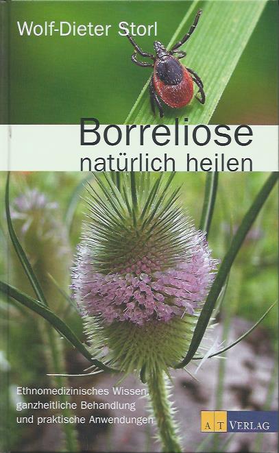 Borreliose
