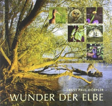 Wunder der Elbe